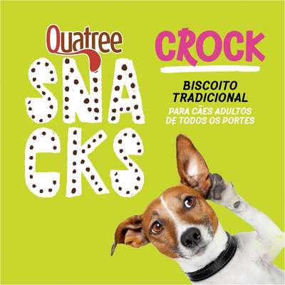 Biscoito Quatree Snacks Crock Tradicional para Cães Adultos