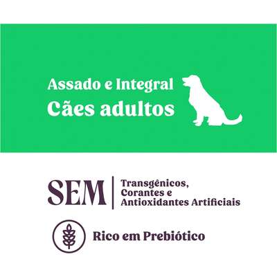 Biscoito Natural Quatree Snacks para Cães Adultos Sabor Vegan