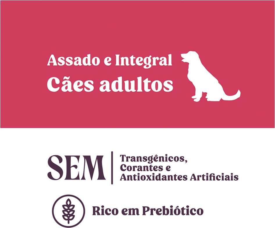 Biscoito Natural Quatree Snacks para Cães Adultos Sabor Frutas Vermelhas - 150g