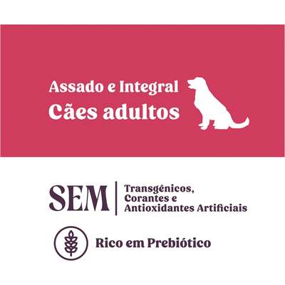 Biscoito Natural Quatree Snacks para Cães Adultos Sabor Frutas Vermelhas