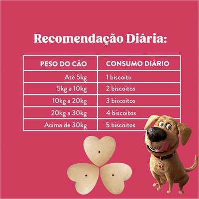 Biscoito Natural Quatree Snacks para Cães Adultos Sabor Frutas Vermelhas