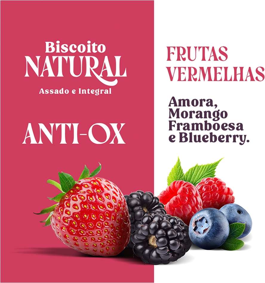 Biscoito Natural Quatree Snacks para Cães Adultos Sabor Frutas Vermelhas - 150g