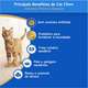 Ração Nestlé Purina Cat Chow Adultos Defense Plus Carne