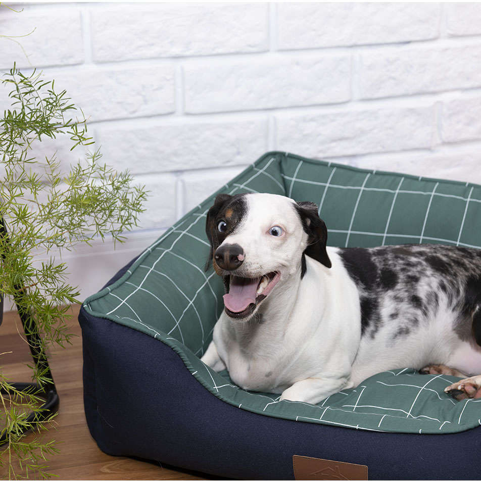 Cama Exclusive Verde - Tam. M