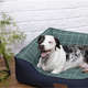 Cama Exclusive Verde