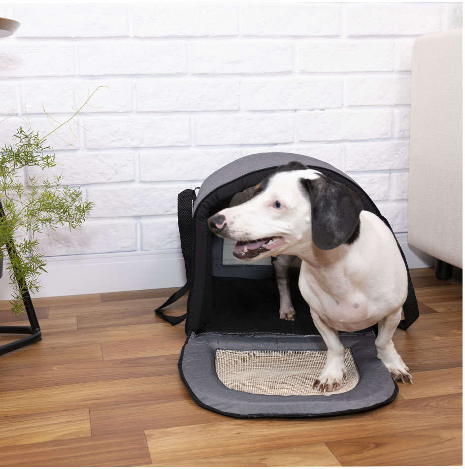 Bolsa de Transporte Fábrica Pet Fechada Jeans - Tam. G