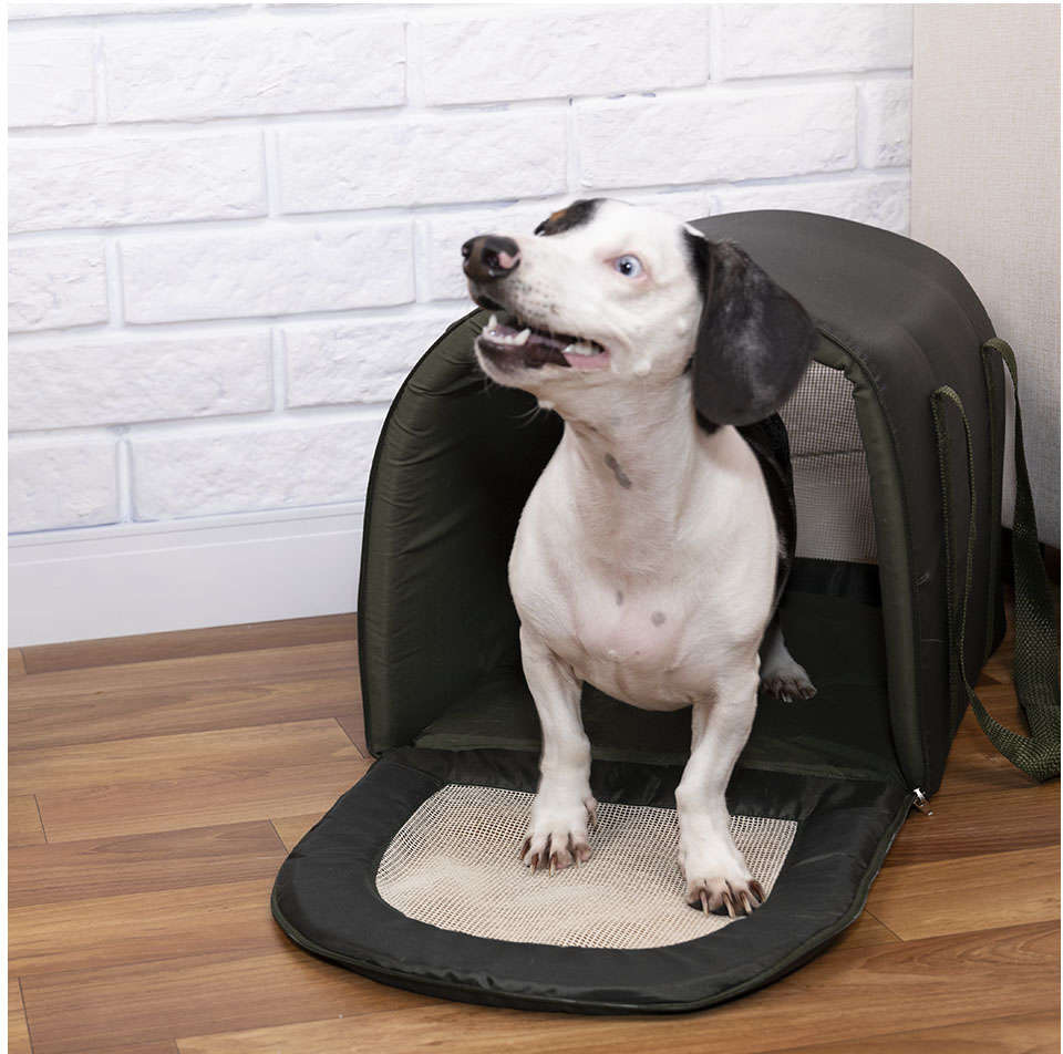 Bolsa de Transporte Fábrica Pet Fechada Impermeável Verde Musgo - Tam. M
