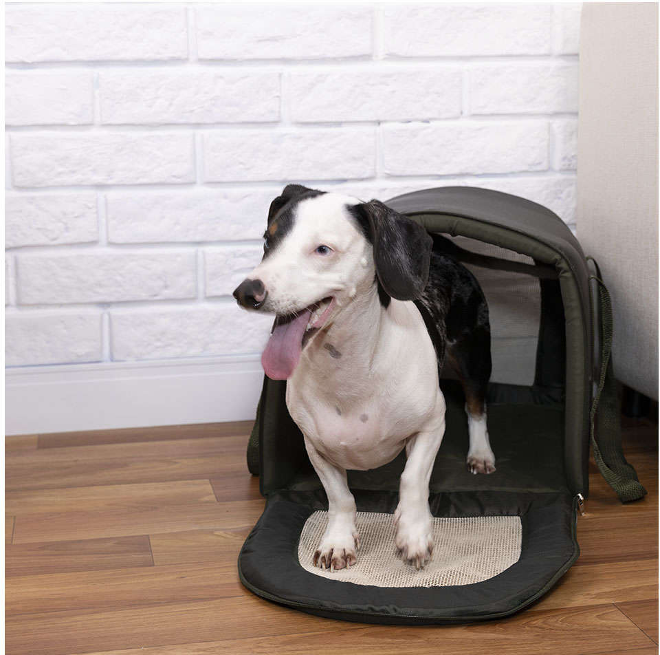 Bolsa de Transporte Fábrica Pet Fechada Impermeável Verde Musgo - Tam. M
