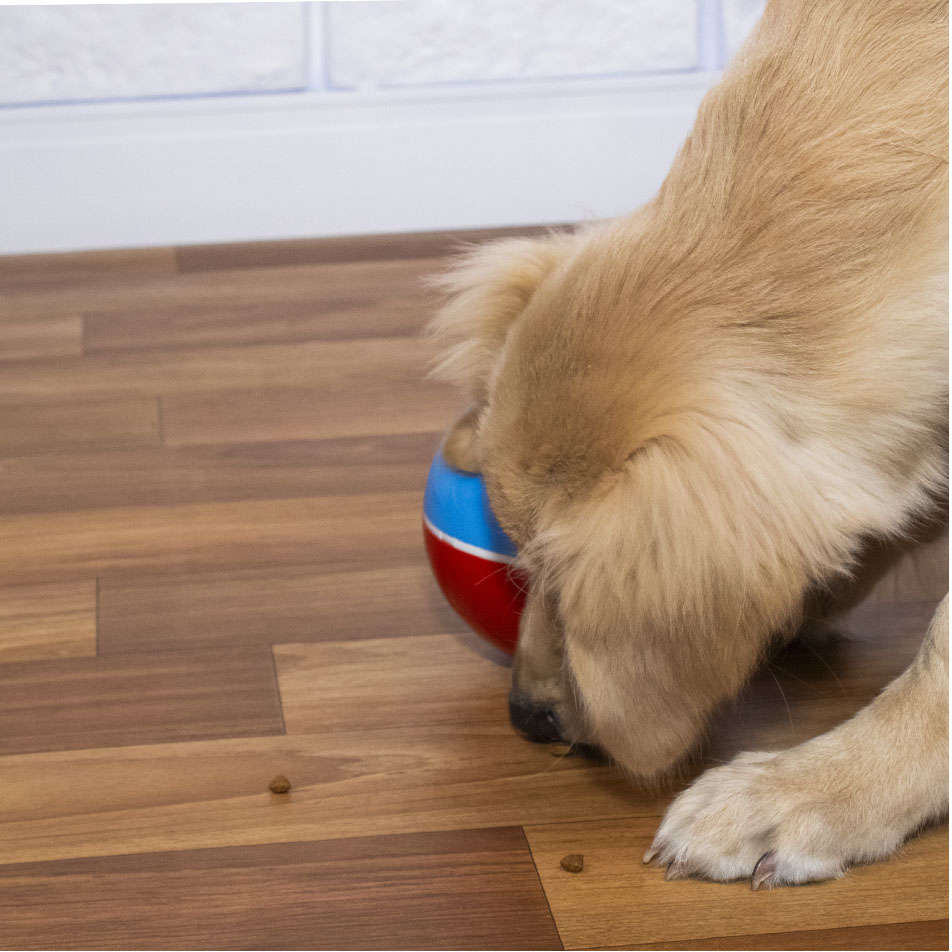 Brinquedo Amicus Crazy Ball Vermelho e Azul para Cães - Tam. P