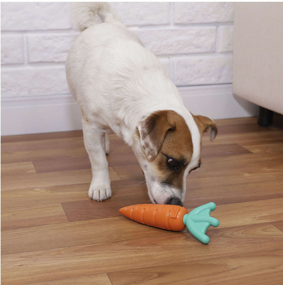 Brinquedo Buddy Toys Cenoura Nylon - Laranja