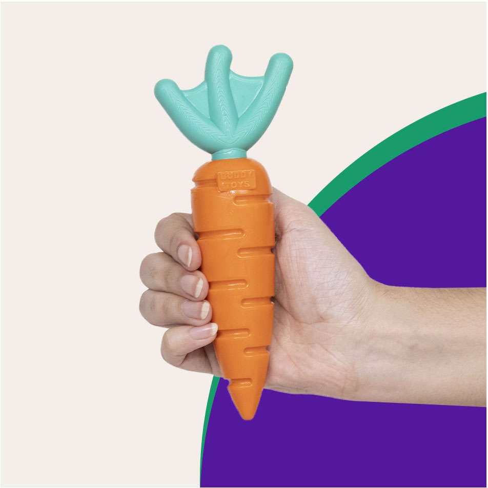 Brinquedo Buddy Toys Cenoura Nylon - Laranja