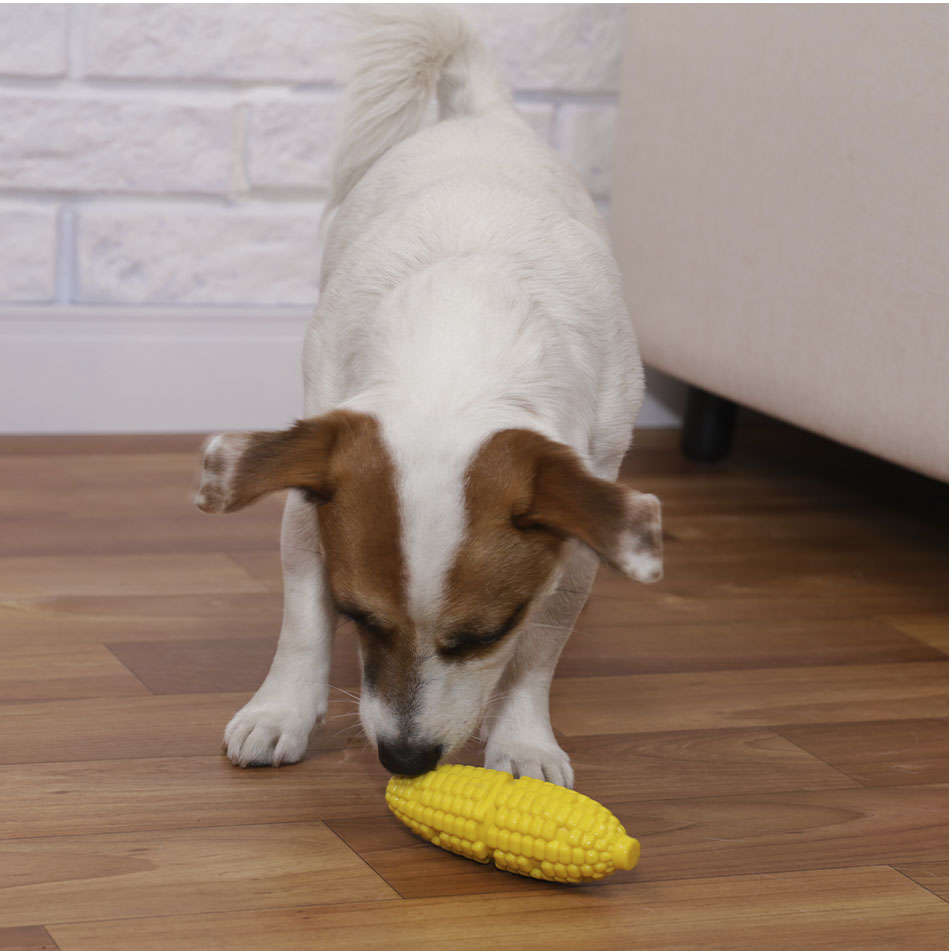 Brinquedo Buddy Toys Milho Nylon Amarelo - Tam. G