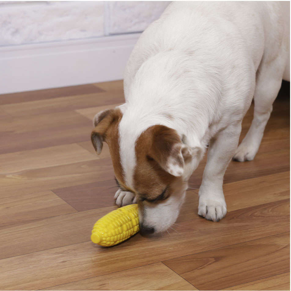 Brinquedo Buddy Toys Milho Nylon Amarelo - Tam. G