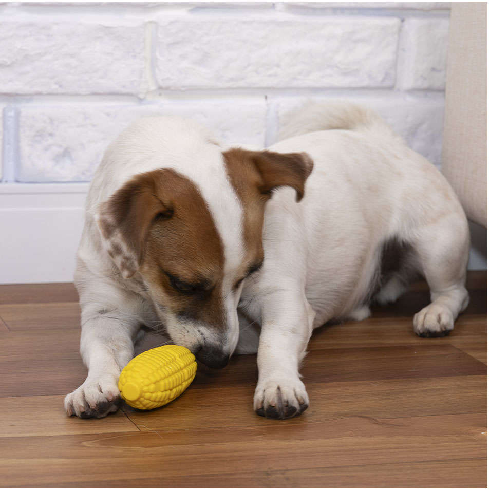 Brinquedo Buddy Toys Milho Nylon Amarelo - Tam. G