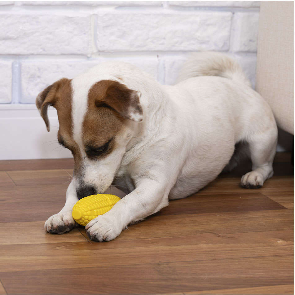 Brinquedo Buddy Toys Milho Nylon Amarelo - Tam. G