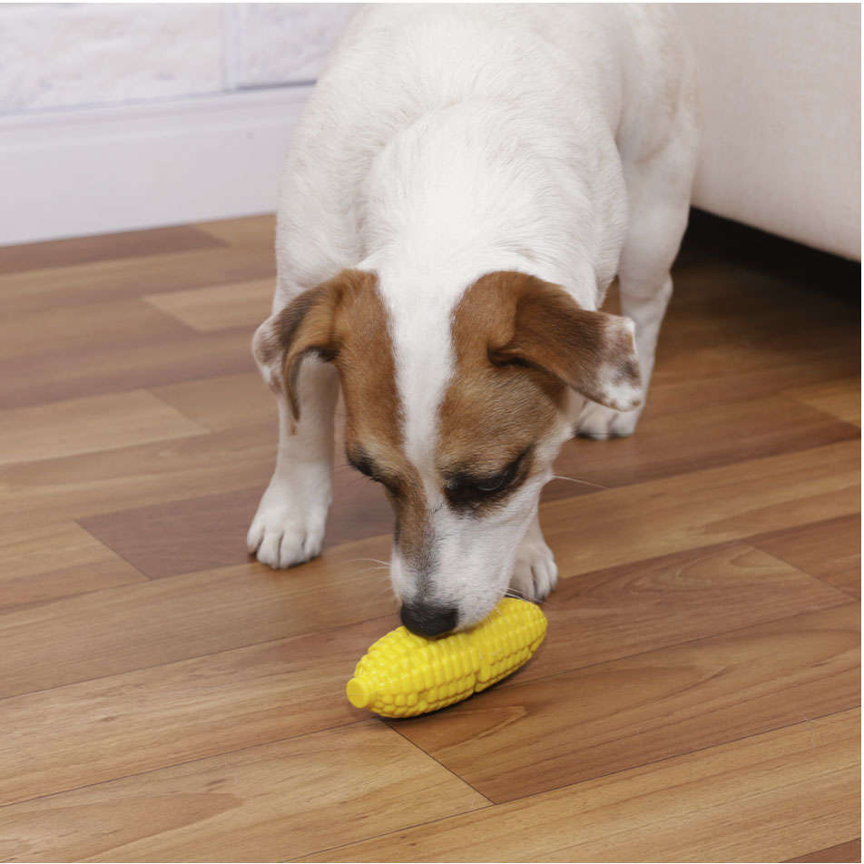 Brinquedo Buddy Toys Milho Nylon Amarelo - Tam. G