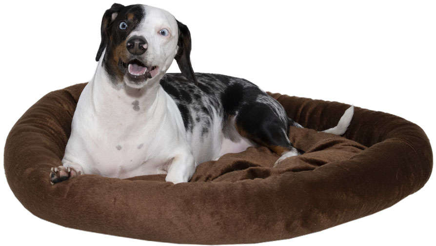 Cama Bichinho Chic Paris Marrom - Tam. G