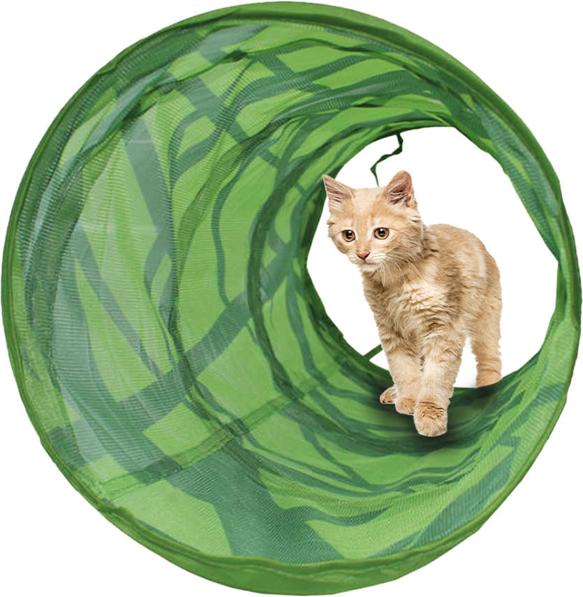 Brinquedo Chalesco Túnel Fun para Gatos - Tam. Único