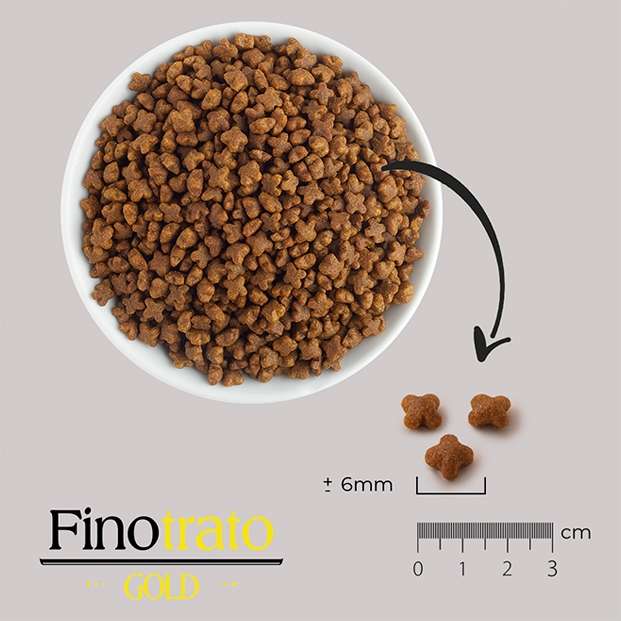 Ração Seca Finotrato Gold Salmão para Gatos Filhotes - 7,5Kg