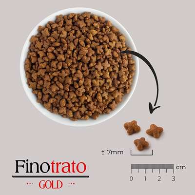 Ração Seca Finotrato Gold Salmão para Gatos Castrados