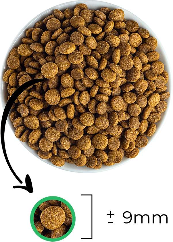 Ração Seca Japi Plus Natural para Cães Filhotes - 10,1Kg