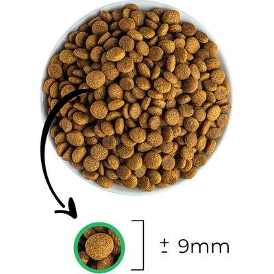 Ração Seca Japi Plus Natural para Cães Filhotes