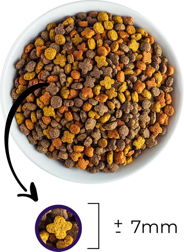 Ração Seca Japi Plus Mix para Gatos Adultos - 10,1Kg