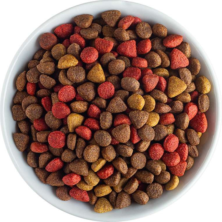 Ração Seca Besser Gourmet para Cães Filhotes - 20Kg