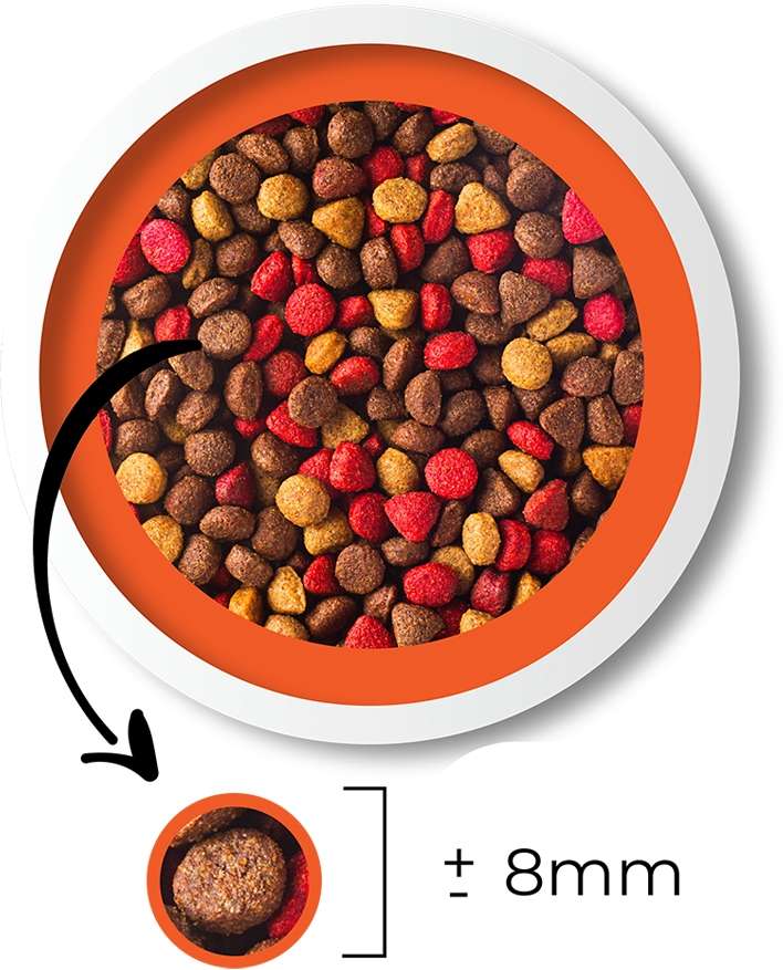 Ração Seca Besser Gourmet para Cães Filhotes - 20Kg