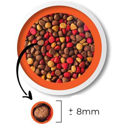 Ração Seca Besser Carnes e Cereais para Cães Filhotes
