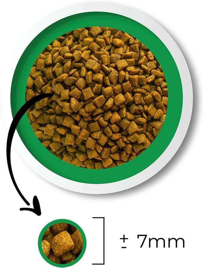 Ração Seca Besser Natural para Gatos Castrados - 20Kg
