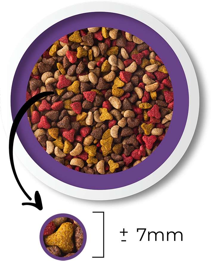 Ração Seca Besser Gourmet para Gatos Adultos - 10,1Kg