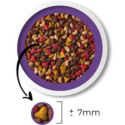 Ração Seca Besser Carne, Frango e Fígado para Gatos Adultos