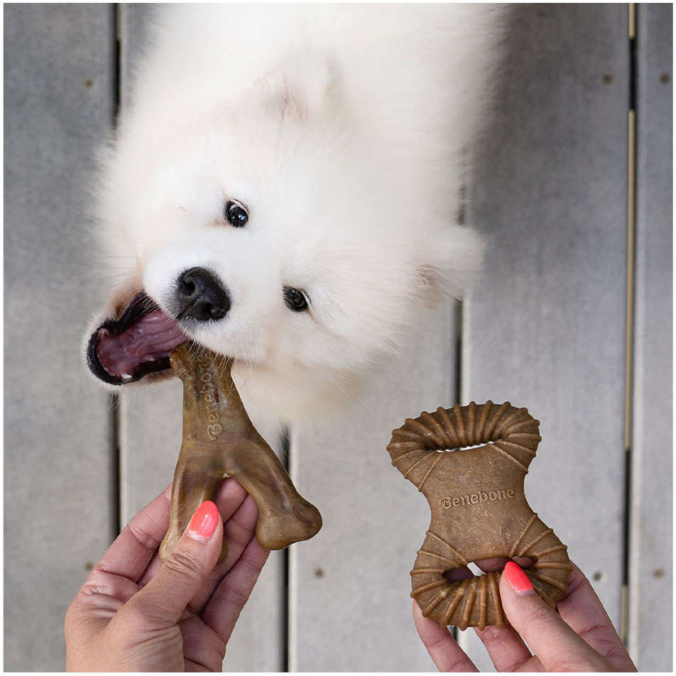 Brinquedo Benebone Tiny 2 Pack Bacon (645400) - 2 Unidades