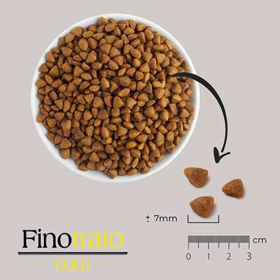 Ração Seca Finotrato Gold Frango para Gatos Filhotes