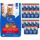 Kit Cat Chow Ração Seca Defense Plus Carne e Rações Úmidas com 15 Frango Gatos Adultos - 15 Saches + 10,1 Kg