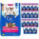 Kit Cat Chow Ração Seca Frango e Leite e Rações Úmidas com 15 Frango Gatos Filhotes - 15 Saches + 10,1 Kg