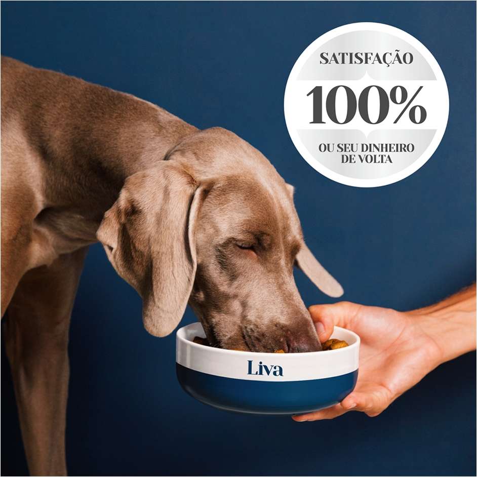 Ração Liva Super Premium para Cães Filhotes de Raças Pequenas - 10,1Kg