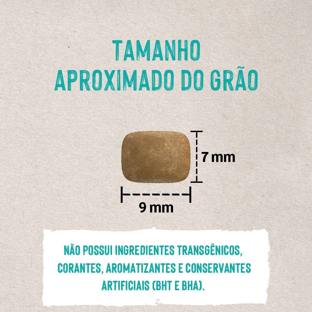 Ração Seca Quatree Life Frango e Arroz Cães Filhotes Raças Pequenas - 10,1Kg