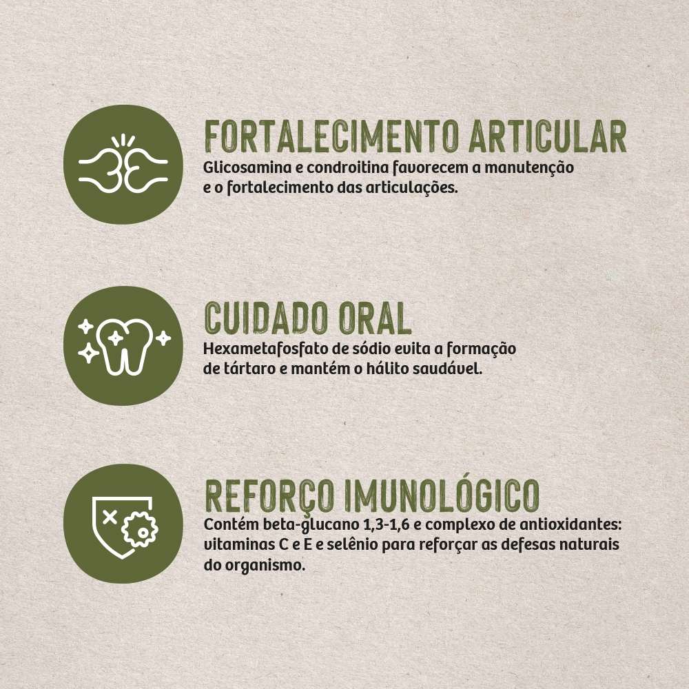 Ração Seca Quatree Life Frango e Arroz Cães Adultos Raças Médias e Grandes - 15Kg