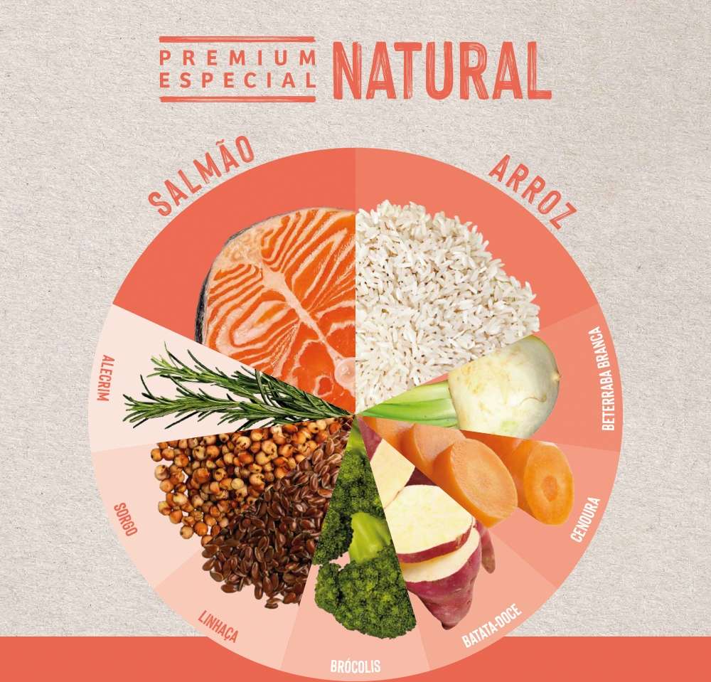 Ração Seca Quatree Life Salmão e Arroz Gatos Castrados - 10,1Kg