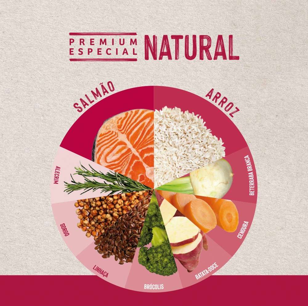 Ração Seca Quatree Life Salmão e Arroz Gatos Adultos - 10,1Kg
