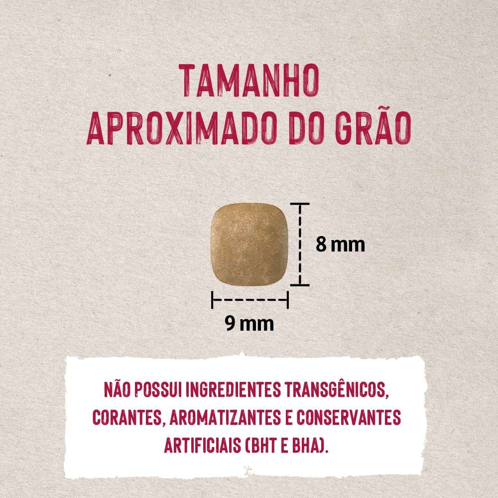 Ração Seca Quatree Life Salmão e Arroz Gatos Adultos - 10,1Kg