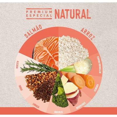 Ração Seca Quatree Life Salmão e Arroz Gatos Castrados