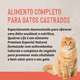 Ração Seca Quatree Life Salmão e Arroz Gatos Castrados