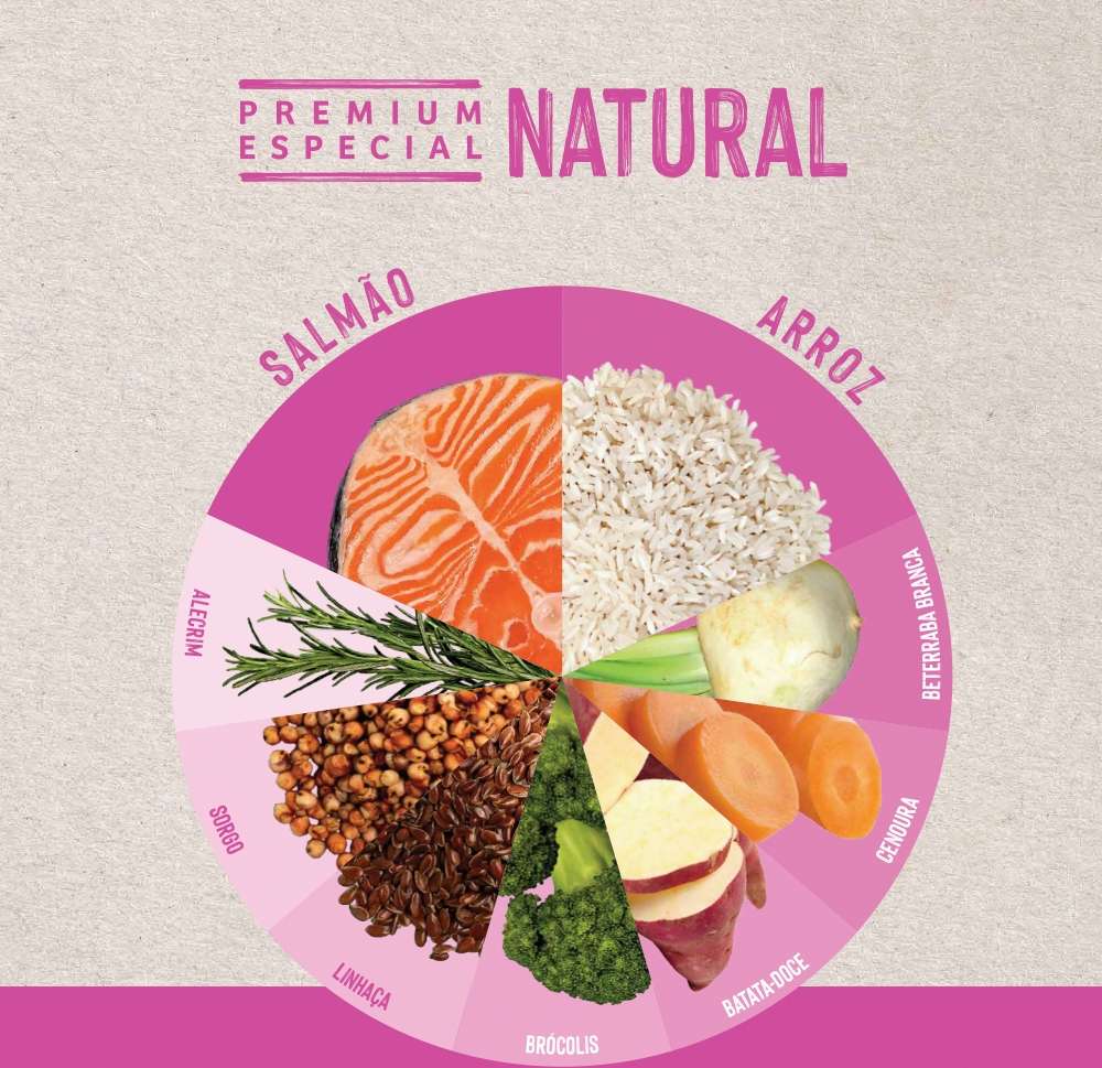 Ração Seca Quatree Life Salmão e Arroz Gatos Filhotes - 1Kg