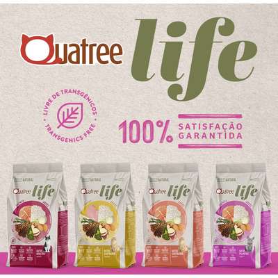 Ração Seca Quatree Life Salmão e Arroz Gatos Filhotes