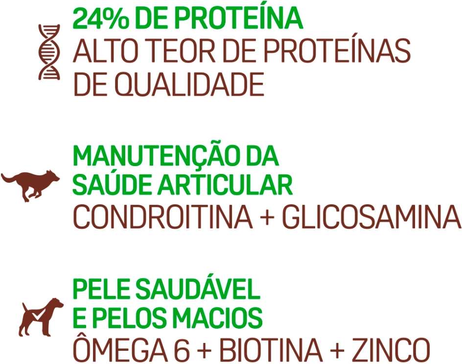 Ração Seca Balance Carne, Frango e Vegetais para Cães Adultos Porte Médio e Grande - 10,1Kg
