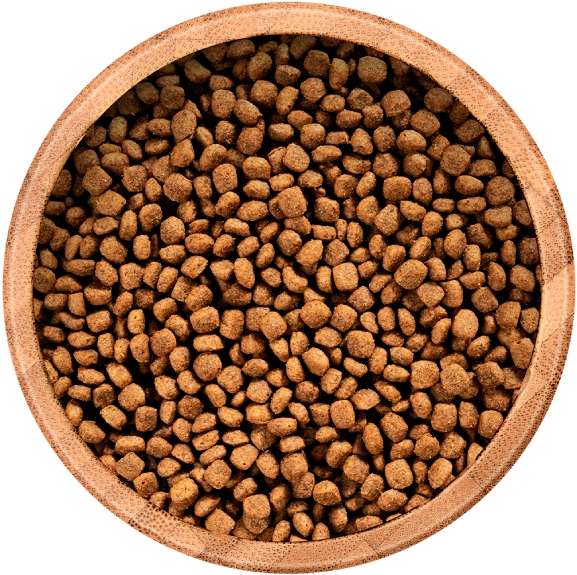 Ração Seca Balance Carne, Frango e Vegetais para Cães Filhotes Porte Pequeno - 10,1Kg