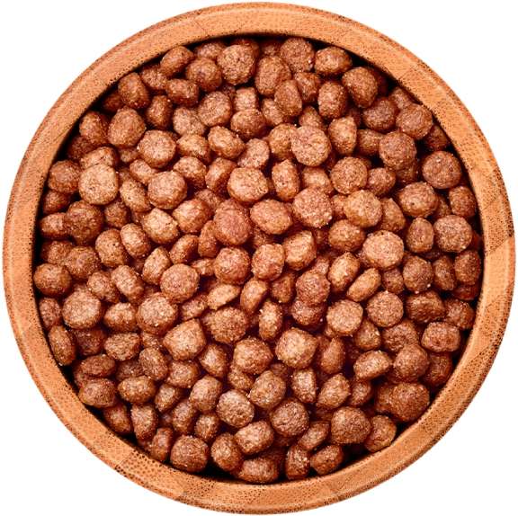 Ração Seca Balance Salmão e Vegetais para Gatos Adultos - 2,7Kg